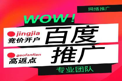 百度竞价托管外包案例：打造行业领军品牌